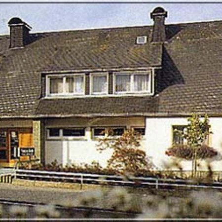 Pension Braun Винтерберг Экстерьер фото