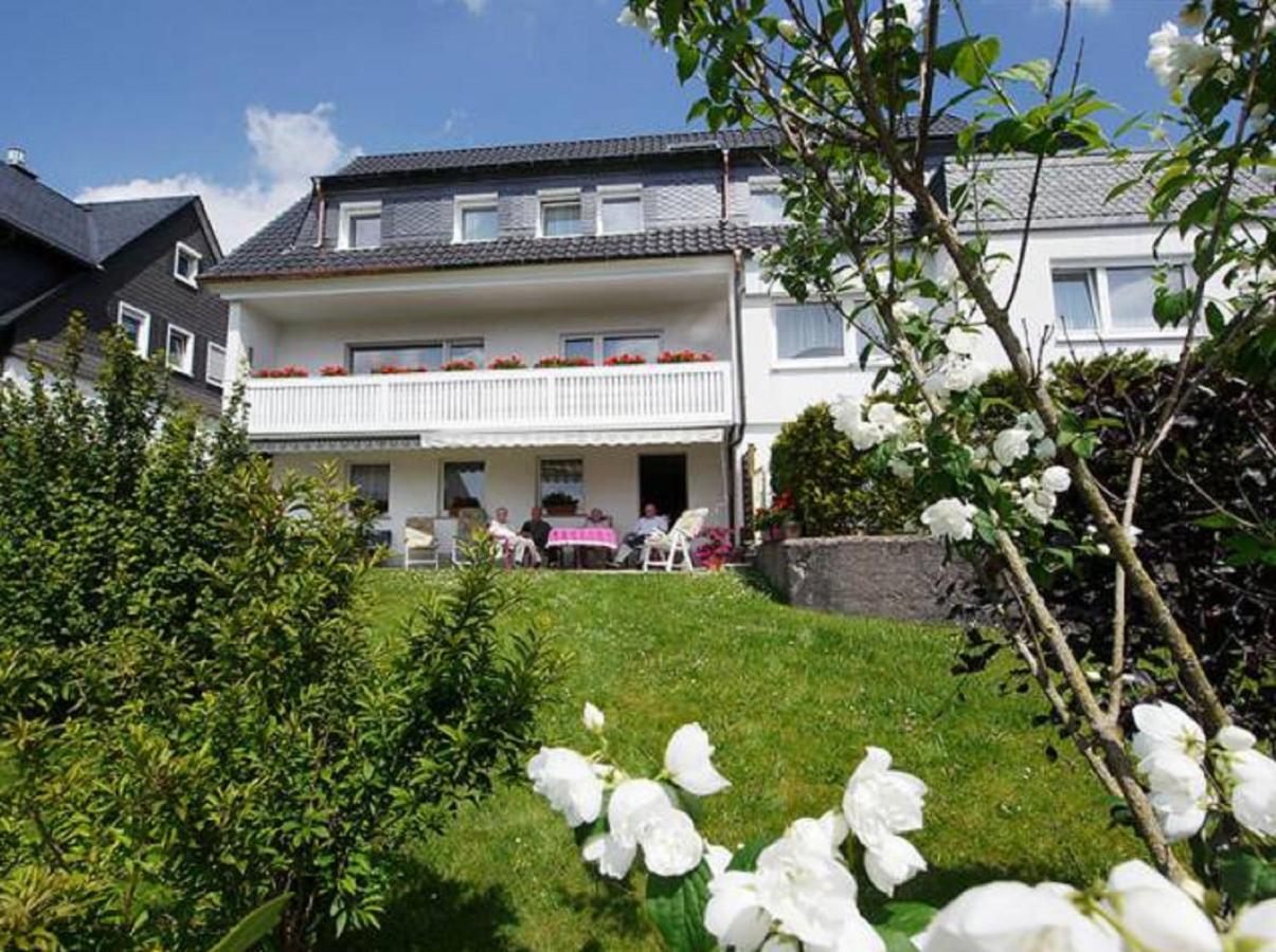 Pension Braun Винтерберг Экстерьер фото